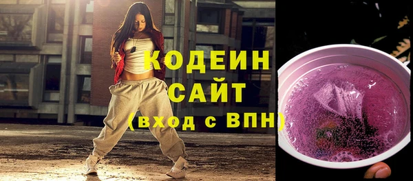мдпв Елабуга